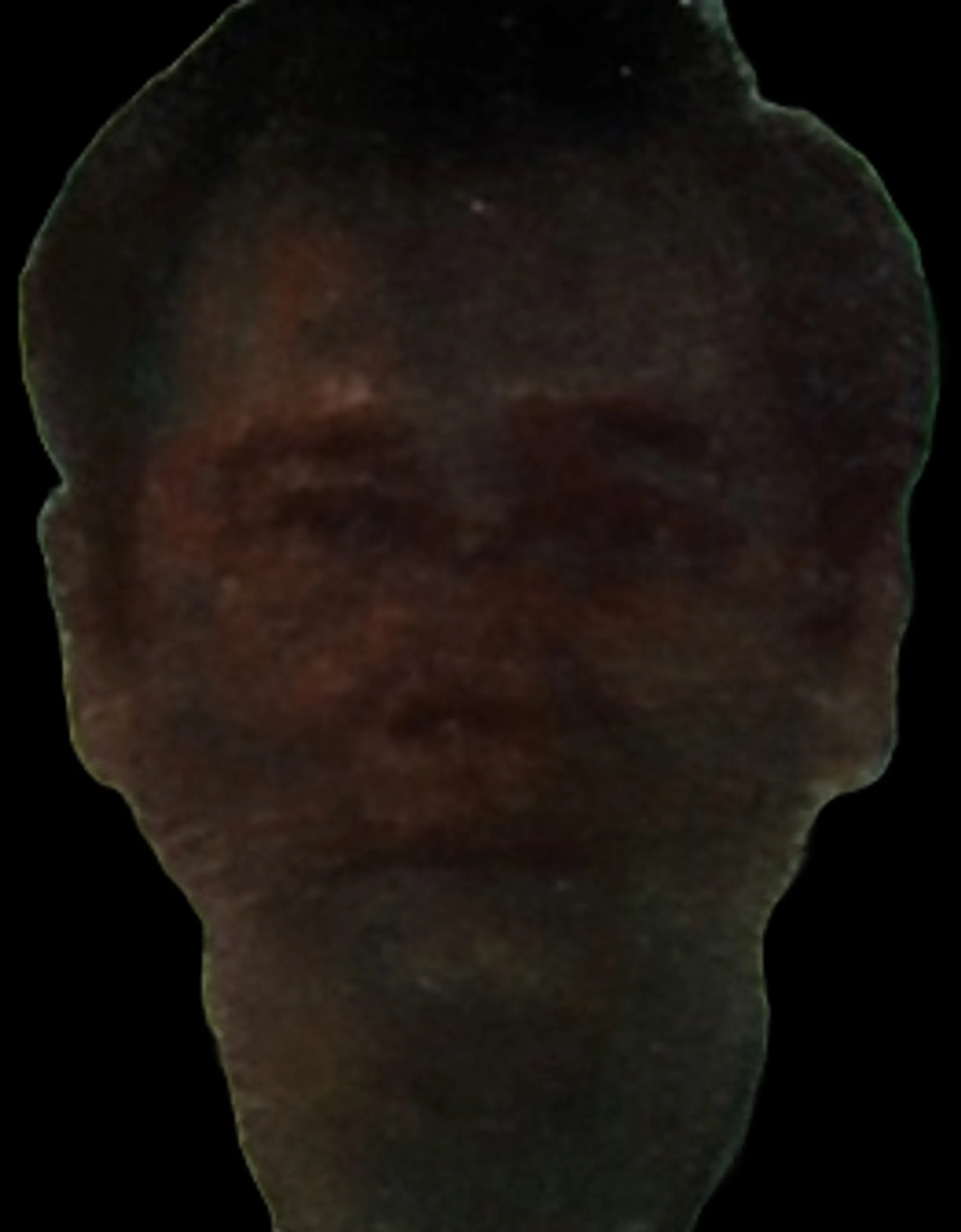 Adan Tueres